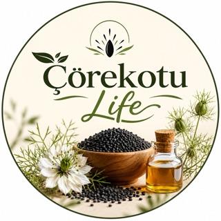 ÇÖREKOTULİFE