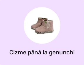 Cizme până la genunchi