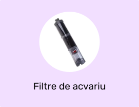Filtre de acvariu