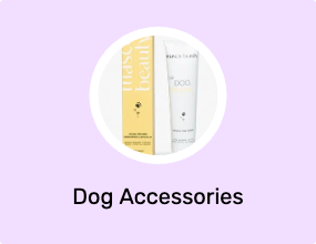 Dog Accessories