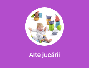 Alte jucării