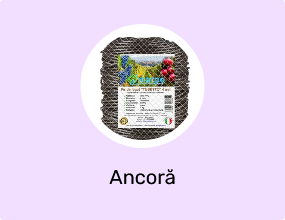 Ancoră
