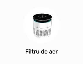 Filtru de aer