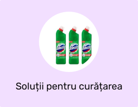 Soluții pentru curățarea toaletei