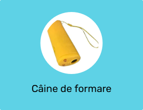 Câine de formare Produse de formare