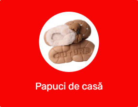 Papuci de casă