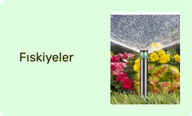 Fıskiyeler
