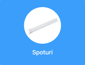 Spoturi