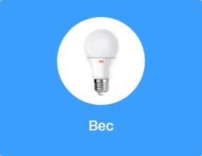 Bec