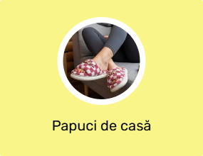 Papuci de casă