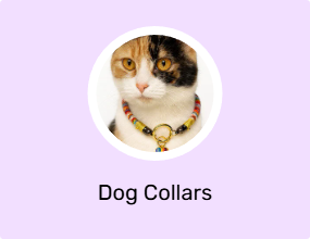 Dog Collars