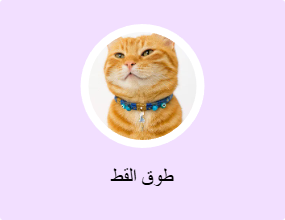طوق القط
