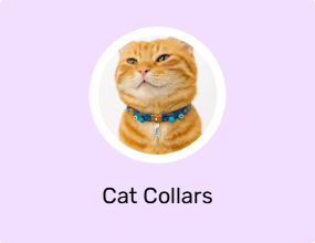 Cat Collars