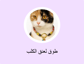طوق لعنق الكلب