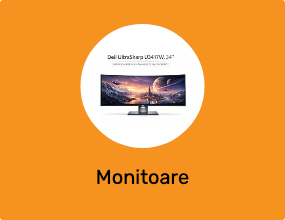 Monitoare