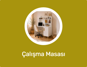 Çalışma Masası