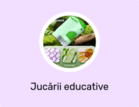 Jucării educative