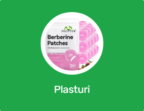 Plasturi