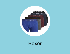 Boxer