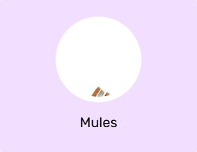Mules