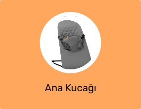 Ana Kucağı