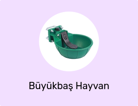 Büyükbaş Hayvan Ürünü