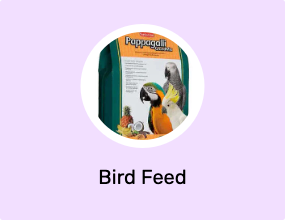 Bird Feed