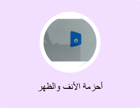 أحزمة الأنف والظهر