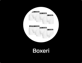 Boxeri