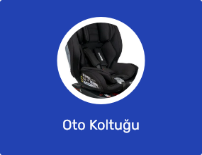 Oto Koltuğu