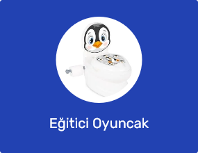 Eğitici Oyuncak