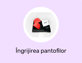 Îngrijirea pantofilor