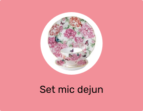 Set mic dejun