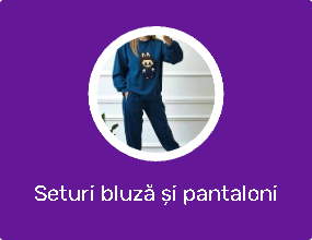 Seturi bluză și pantaloni