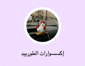 إكسسوارات الطوربيد