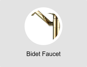 Bidet Faucet