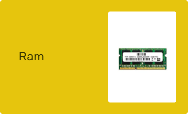 Ram