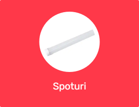 Spoturi