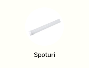 Spoturi