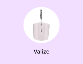 Valize