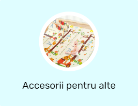 Alte accesorii pentru camere