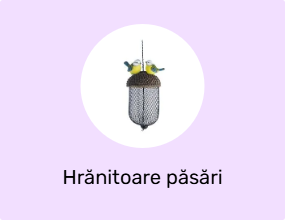 Hrănitoare păsări