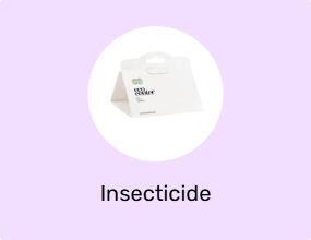 Insecticide