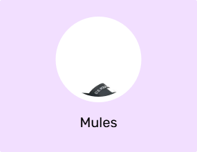 Mules
