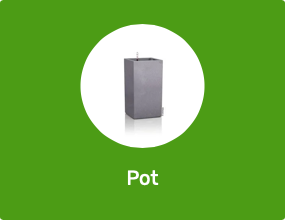 Pot