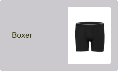 Boxer