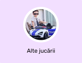 Alte jucării