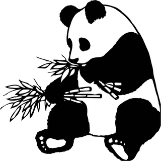 PandaLeather