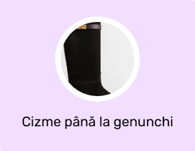 Cizme până la genunchi