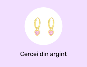 Cercei din argint